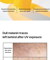 بافت سبک ضدآفتاب celimax Pore+Dark Spot Brightening Care Sunscreen